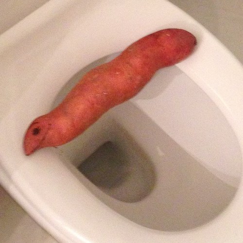 11DoubleA's profile picture. This is the real AA! YES SIR, don't say it again.