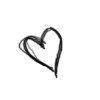 I am a huge fan of one direction!!!*