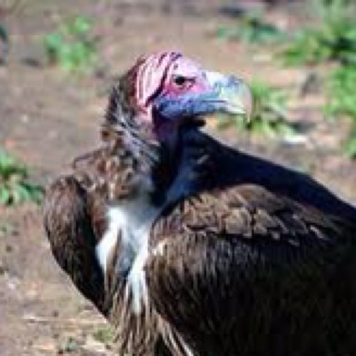 rikki_keg_can's profile picture. 