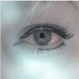 HaidyRauch's profile picture. 