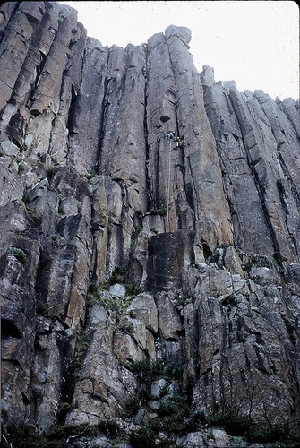 TassieExplorers's profile picture. 