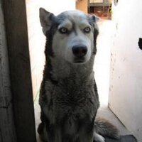 Juan Felipe Medina B (@felij22) 's Twitter Profile