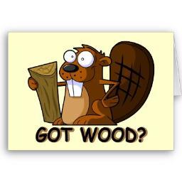 BeaverTweeter's profile picture. I Tweet the funniest, strangest OMG Beaver pics I can find. I Eat Beaver For Breakfast