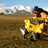 CandideThovex's profile image