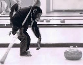 Jimygoliath's profile picture. Part time golfer/sometimes curler/full time Scarb.....thoughts are my own....