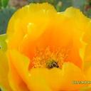 Ruby Ballesteros - @RubyTexas3 - Twitter