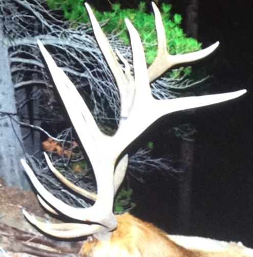 Enabling hunters to share their trophies around the world. #BigRacks #booners