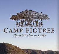 Encircled by the lush folds of the Zuurberg Mountains, Camp Figtree is a remote private game reserve in the heart of the Eastern Cape wilderness.