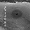 dronarivm's profile picture. Label for contemporary ambient music