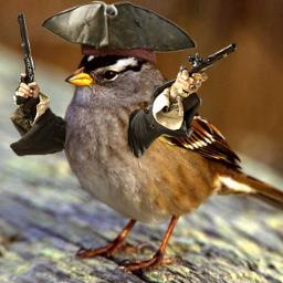 Turdaday's profile picture. ++Occidental College Graduate+Nature Lover+Soccer Enthusiast++