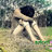 phy