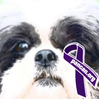 IamMaryannK's profile picture. Mom, Grandmom of 8, Case Manager @Women's DV/SA shelter. I love animals and working with them keeps this Crazy Lady sane!