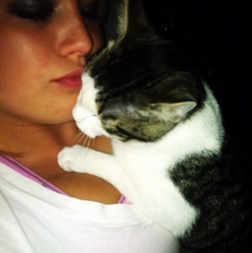 Hi. I love cats and Eskie. Music is life.