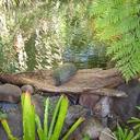 Wanda Mansell - @WandaDMansell - Twitter