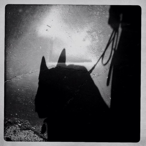 inquiring mind
