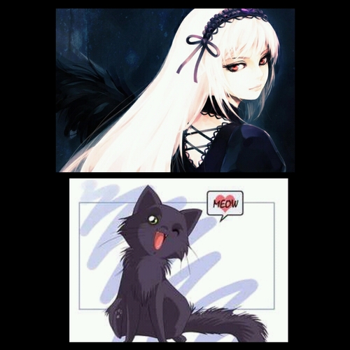 Morriganさんのプロフィール画像