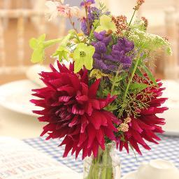 Exhausted Mother of 3 boys, 4 horses, 2 dogs, gardener, Cut Flower grower, Wedding & Event florist .