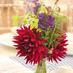 Flowers In Rye (@flowersinrye) Twitter profile photo