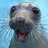 TrinaSeivers1's profile image