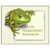 Poelenwerkgroep (@pwgbrummen) 's Twitter Profile