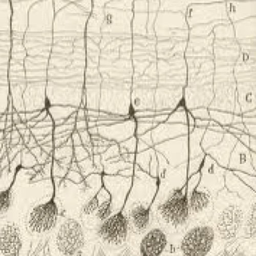 realmikeike's profile picture. Neuroscientist turned strategy consultant for Bio/Pharma