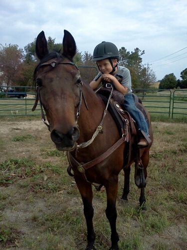 canchaser1982's profile picture. 