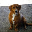 Cathy Ellsworth - @Montanaboundgrl - Twitter