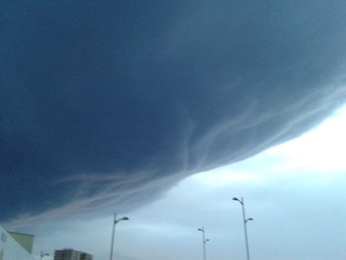 Estibadores jubilado