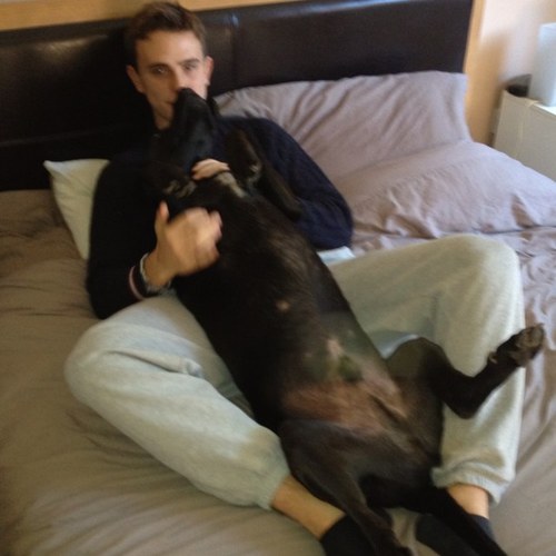 JoshmayattJosh's profile picture. 