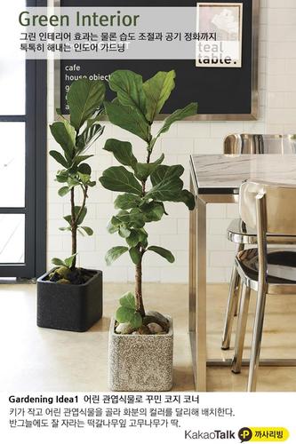 heejoossem's profile picture. 중학교국어교사,윤후엄마,착한아내 ㅋㅋ