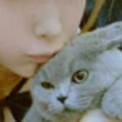 日々面白い漫画を模索し続けている22歳OL(*ﾟ▽ﾟ*)少年、青年、少女、その他漫画ならなんでも大好き♡面白い漫画の情報を共有出来る人がいたら是非(//∇//)フォローバックは100％します☆彡訳分からない人はNGです（笑）