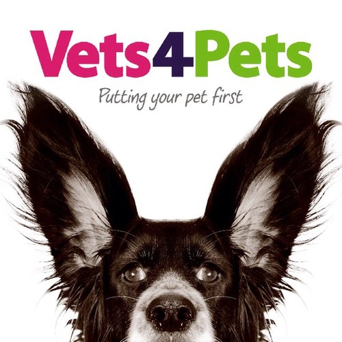 Vets4PetsDN Profile Picture
