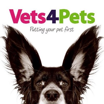 Vets for pets best sale wheatley