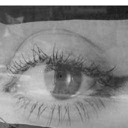 AmbelFCh's profile picture. I cannot tell my story without reaching a long way back.