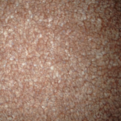 ZPjatakova's profile picture. 