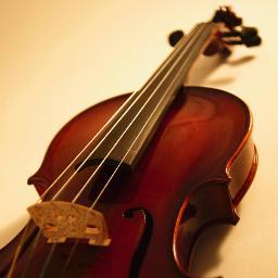 violinist,physicist,judge of art