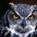 nestor castro - @nestorc64214726 - Twitter