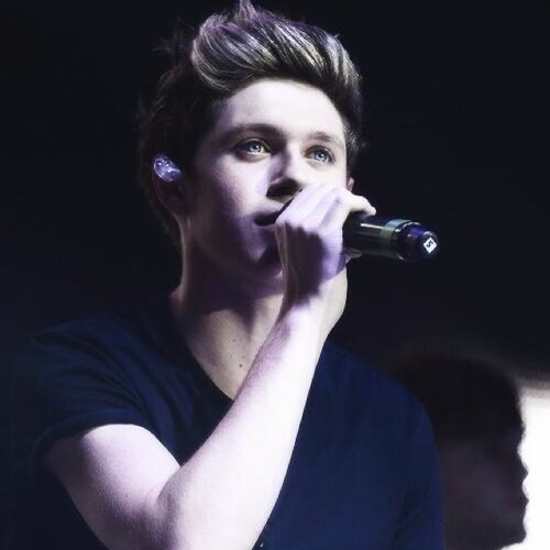 SwagOnNialler's profile picture. Niall blew up my ovaries when he stepped into my life