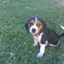 Marlon Hale - @MarlonHale1 - Twitter