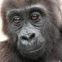 Masato Kimura - @Ms10Kmr - Twitter