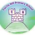 Castle Hill Primary (@castlehill100) Twitter profile photo Castle Hill Primary (@castlehill100) Twitter profile photo