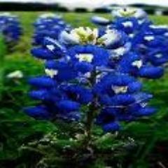 DallasTXCool's profile picture. Connect: Cool@PalmBeachCool.com