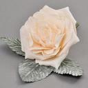 Sara Stoner - @lilyvoguesilk - Twitter