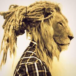 ONE LOVE