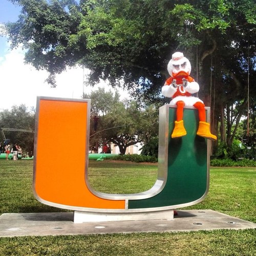 canefan75's profile picture. 