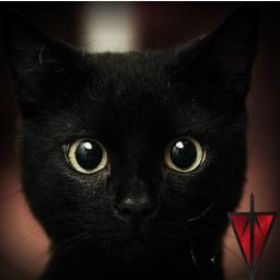 BlackKitten4 Profile Picture