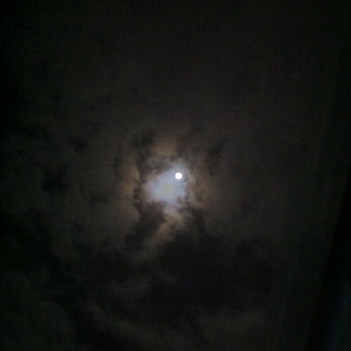 Ryusei_Umemoto's profile picture. 