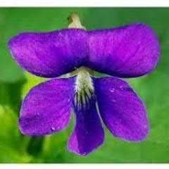 ChicagoILCool's profile picture. Connect: Cool@PalmBeachCool.com