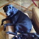 Kelli hood - @KelliMskhood - Twitter