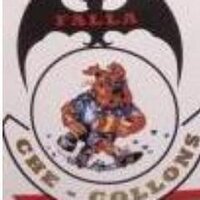 Falla Che Collons (@checollonssueca) 's Twitter Profile